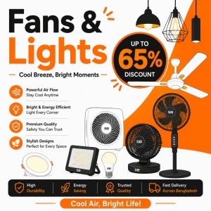 Fans & Lights